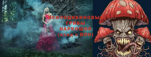 apvp Алексин