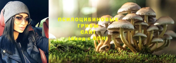 крисы Няндома